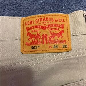 Levi's Men's Gray Pants